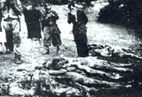 Жертвы югославских партизан