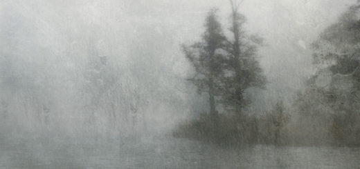 Peter Bjargo CD "Animus"