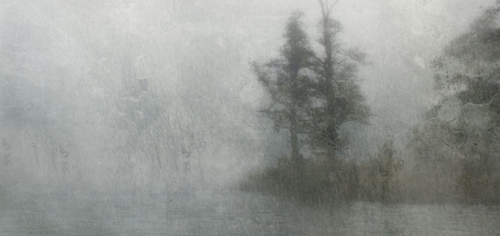 Peter Bjargo CD "Animus"