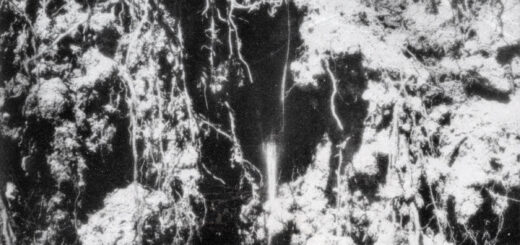 DEN SORTE DØD Cover