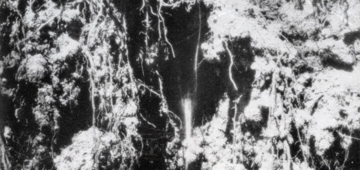 DEN SORTE DØD Cover